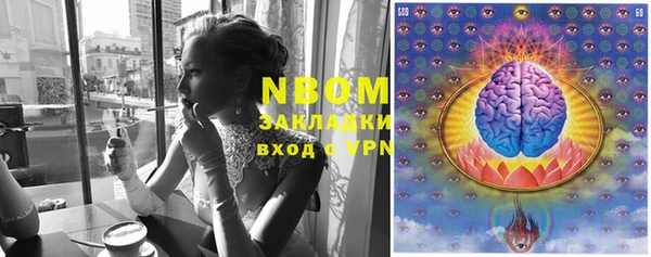 соль ск Дмитров