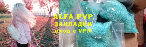 СК Горно-Алтайск